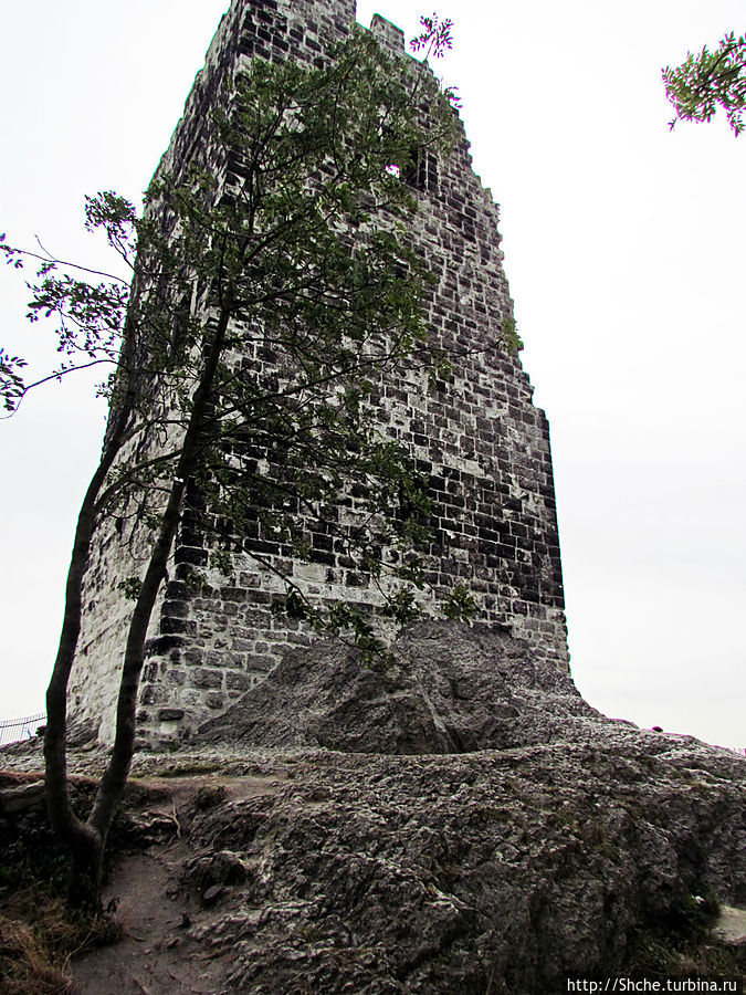 Эта башня — самое сохранившее строение бывшего замка Эта башня — самое сохранившее строение бывшего замка