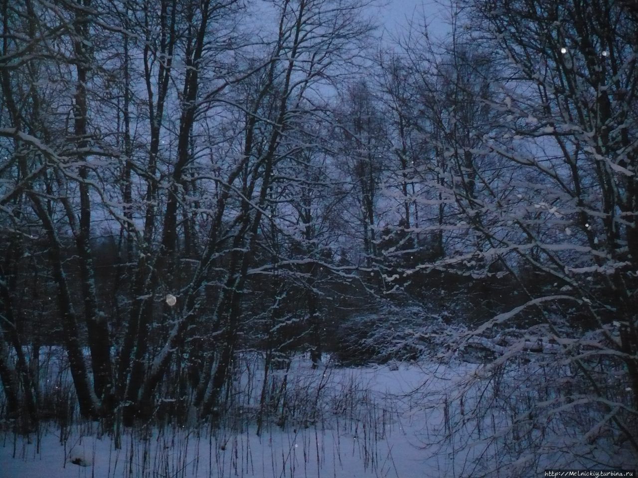 Заброшенная мельница на речке Skogsforsen Сиунтио, Финляндия