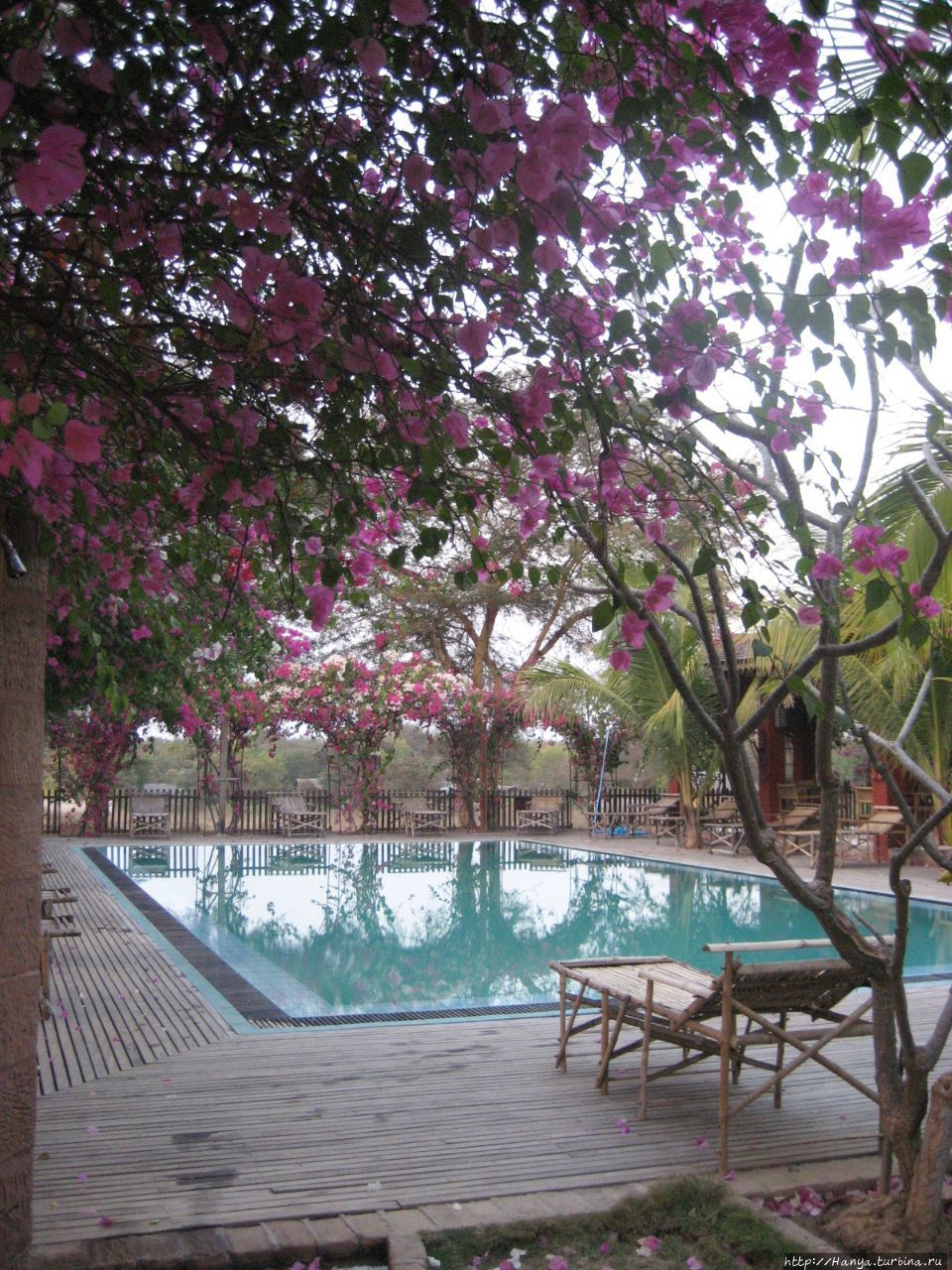 Отель Thazin Garden Hotel в Багане Баган, Мьянма