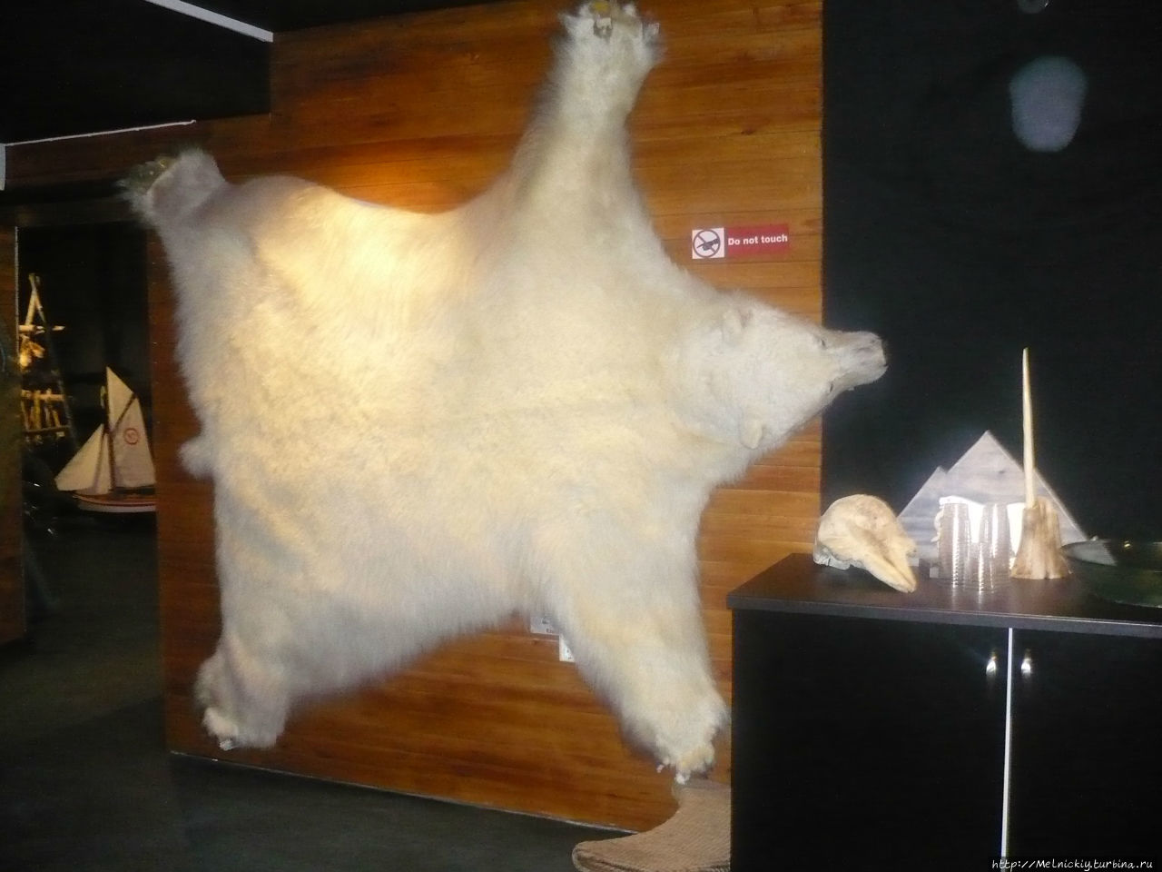 “Королевский клуб белого медведя” Хаммерфест, Норвегия “Королевский клуб белого медведя” Хаммерфест, Норвегия