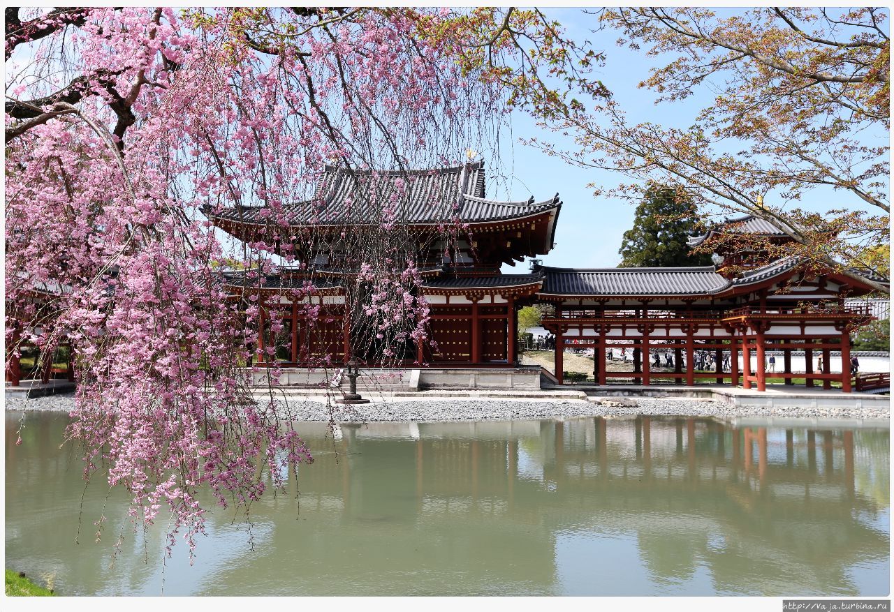 Храм Бёдо-Ин Киото, Япония