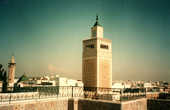 На террасе мечети Аль Зайтуна