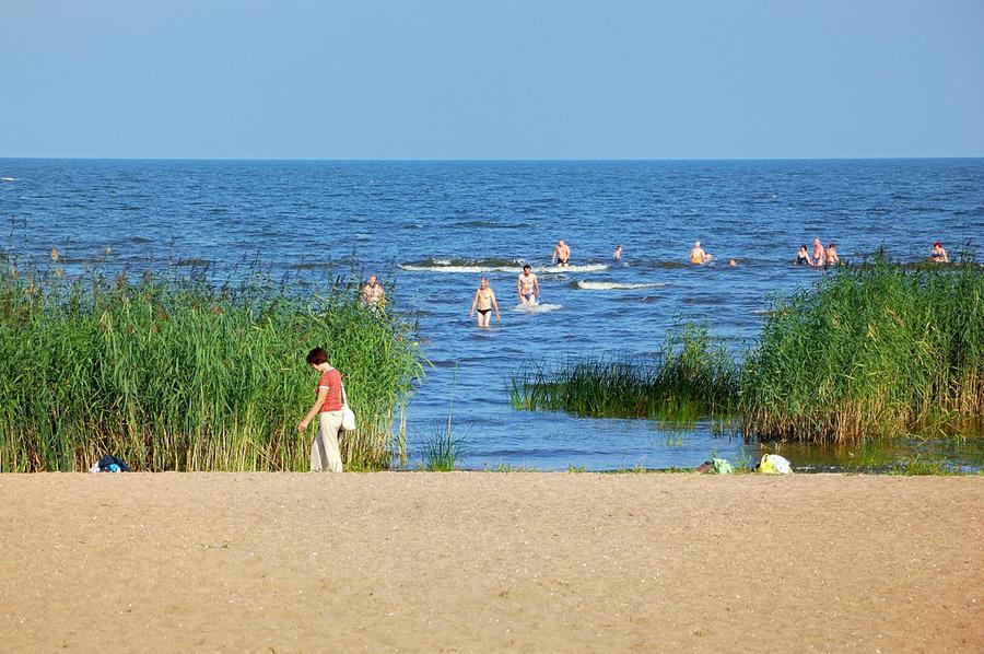 Пляж на берегу Чудского озера Муствеэ, Эстония