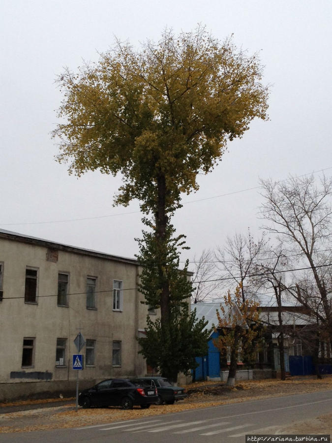 Сюда (не) хочется вернуться Россия Сюда (не) хочется вернуться Россия