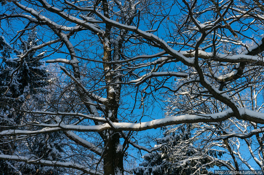 Там, где я теперь живу Россия Там, где я теперь живу Россия