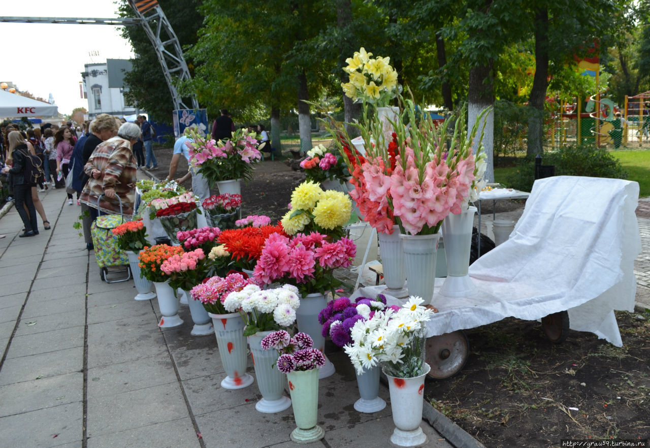 Осенняя рапсодия Саратов, Россия Осенняя рапсодия Саратов, Россия