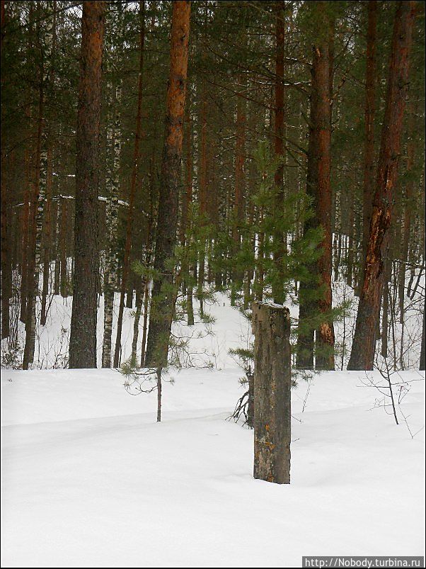 Зимняя Эльба — 2013. Как это было Валдай, Россия