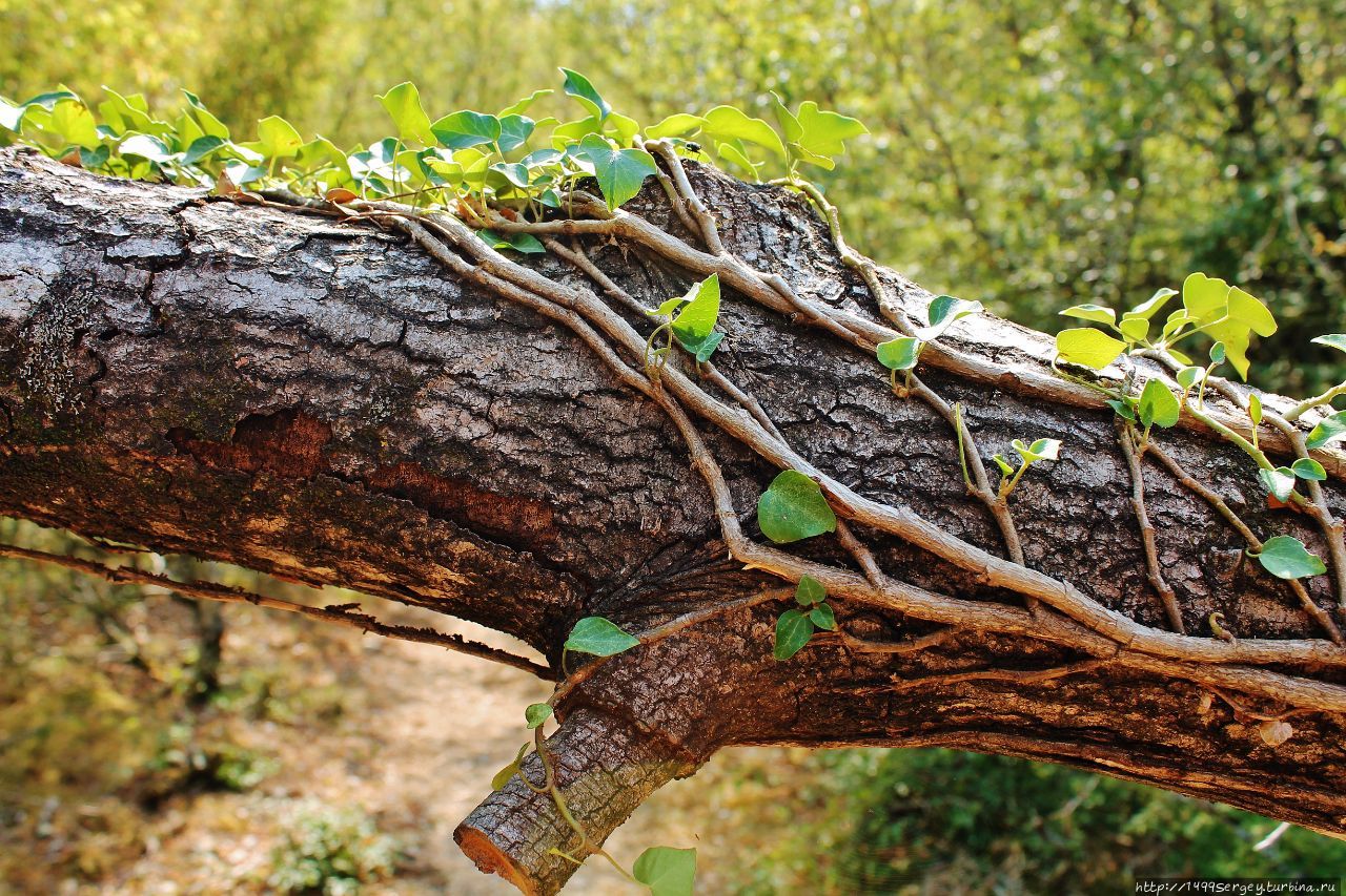 Моё покорение Врмац #5 / Гора Моё покорение Врмац #5 / Гора