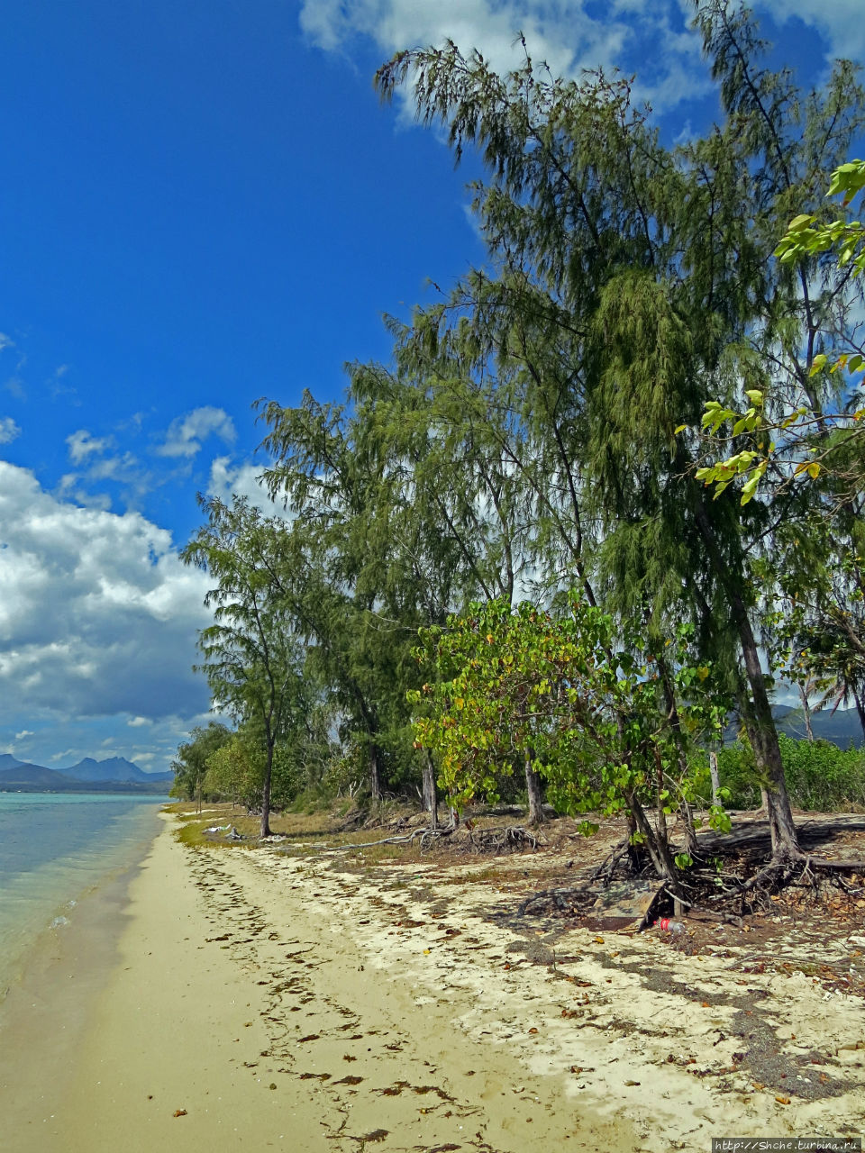 Специальный остров для барбекю Остров Бенитье, Маврикий