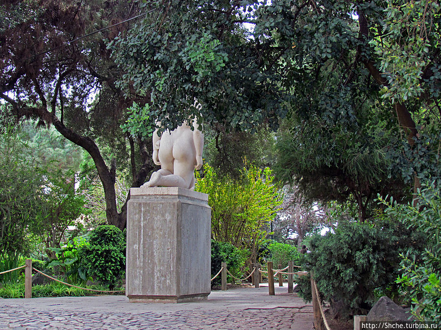 вот и элементы пара вот и элементы пара