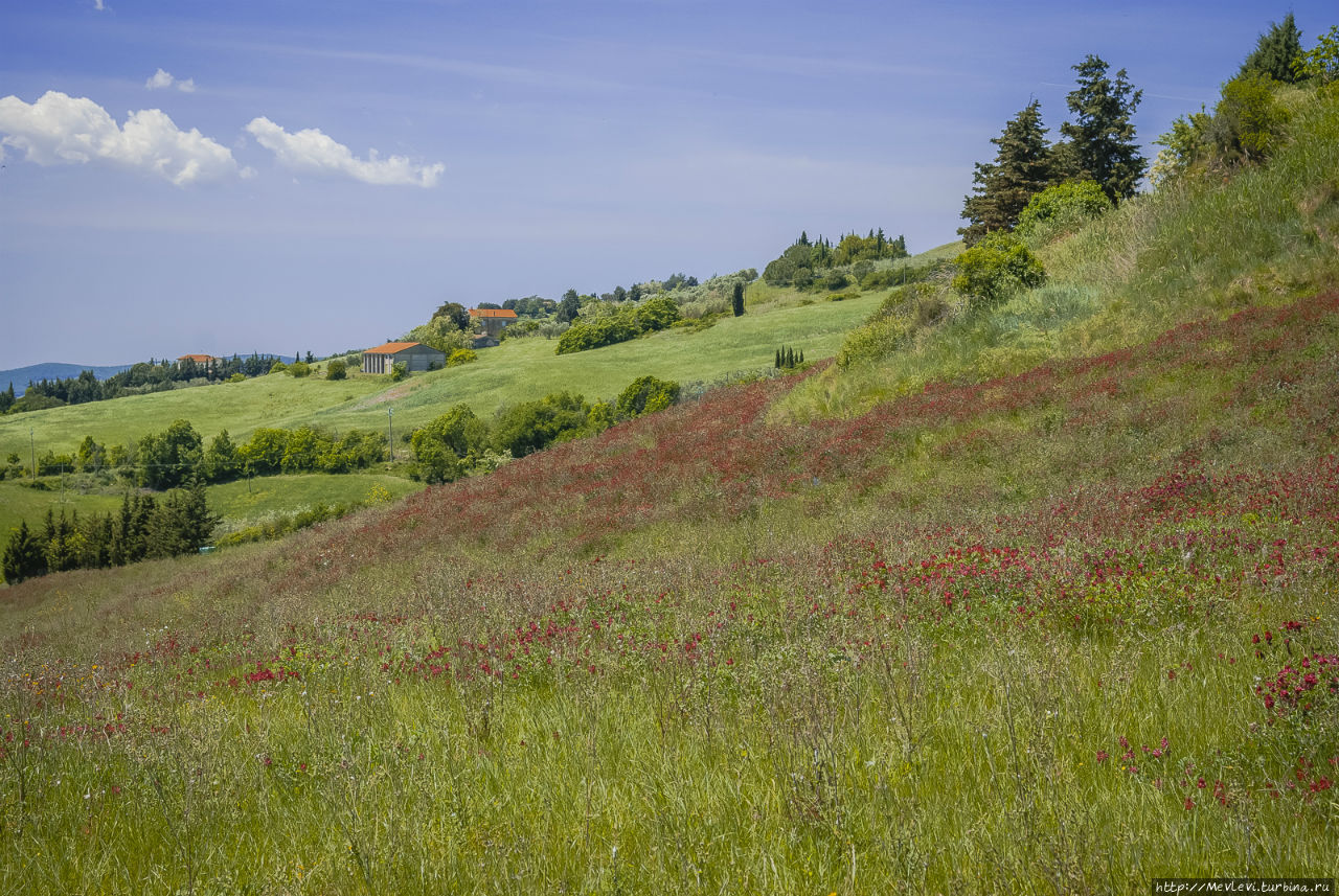 Окрестности San Gimignano Сан-Джиминьяно, Италия Окрестности San Gimignano Сан-Джиминьяно, Италия