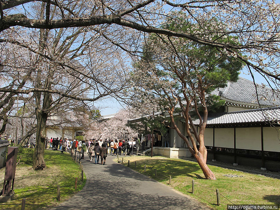 Сад музея храмового комплекса Дайгодзи весной Киото, Япония