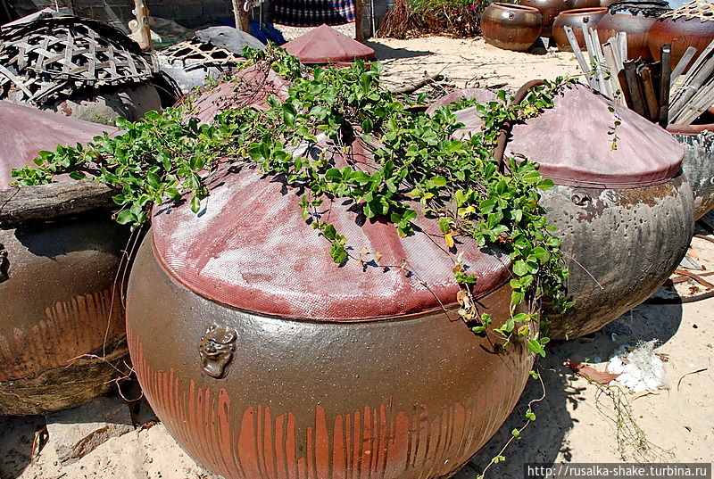 Даже плющ успел прорости) Даже плющ успел прорости)