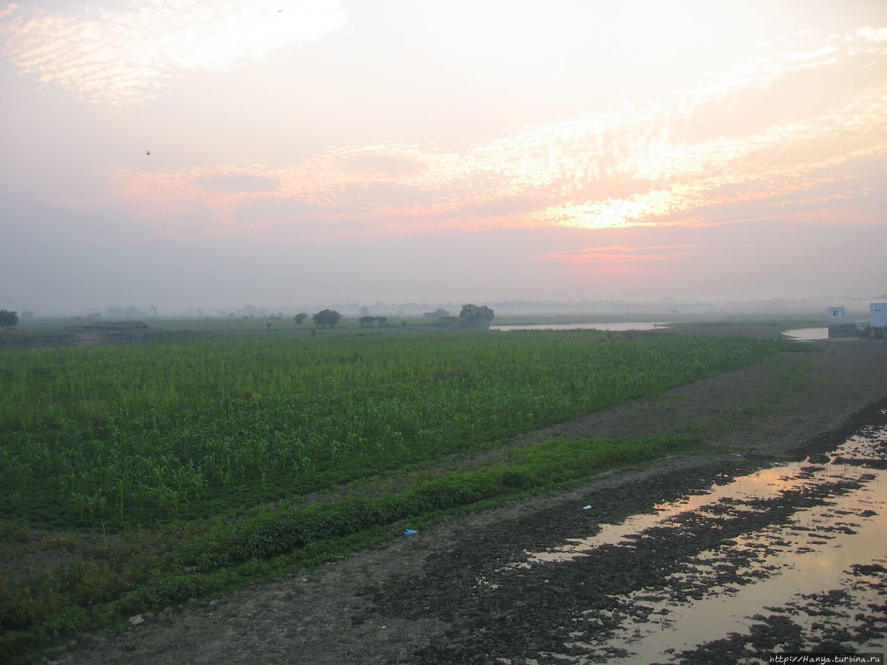 Рисовые поля у озера Таунтаман (Thaungthaman) Амарапура, Мьянма