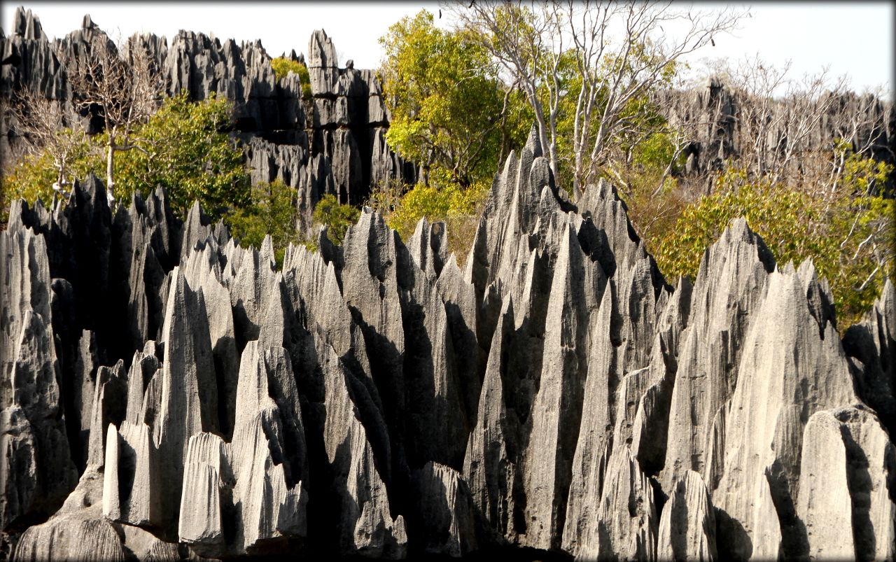 Обнаженная история Земли — Цинги де Бемараха Цинги-де-Бемараха Национальный Парк, Мадагаскар