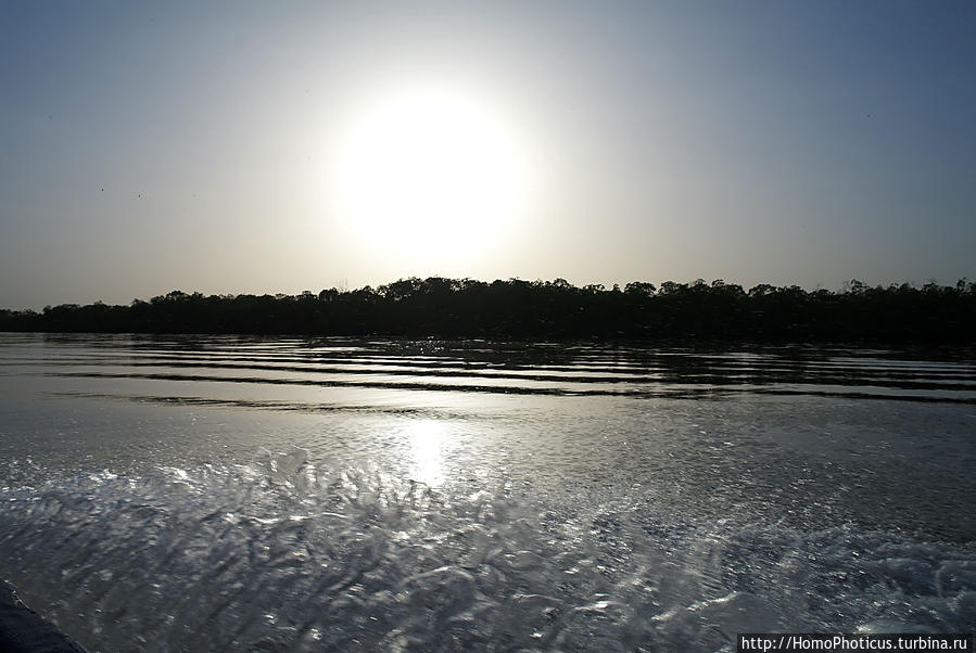 Река Салаум Тубакута, Сенегал