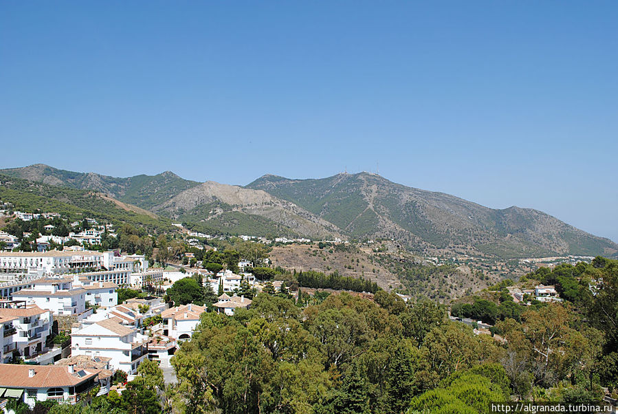 Михас Михас