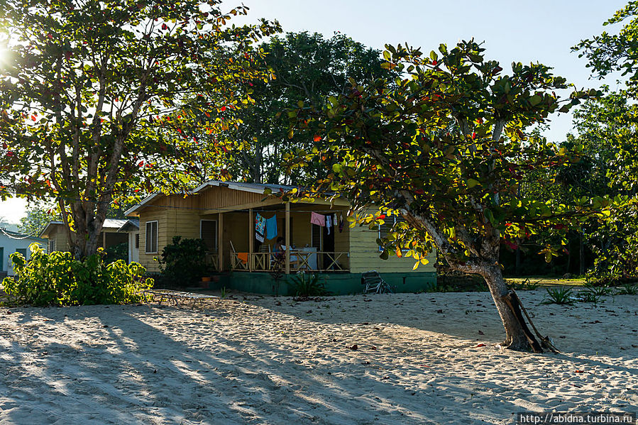 Домик прямо в 10 м от моря... Домик прямо в 10 м от моря...