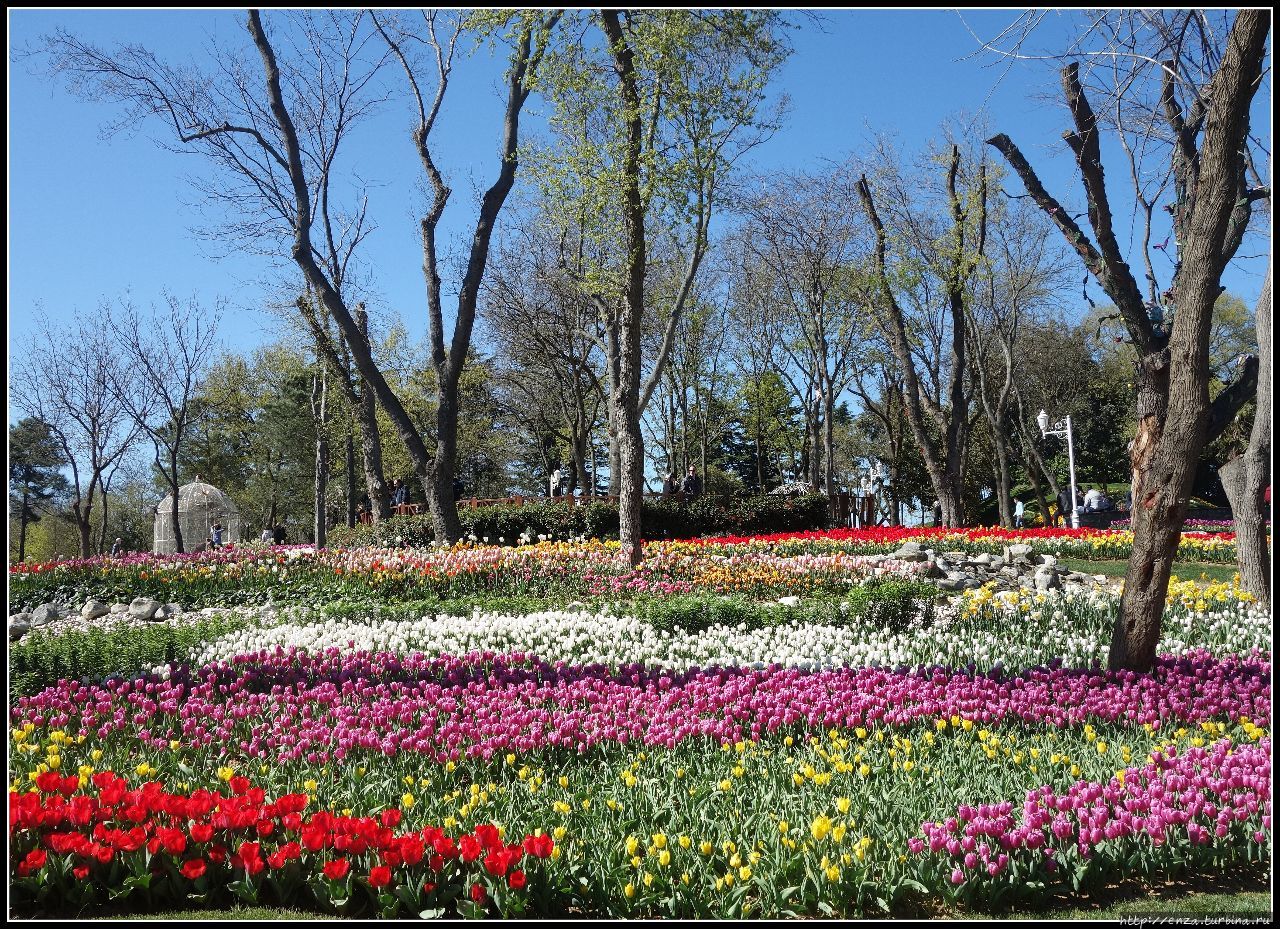 Эмирган Парк Стамбул, Турция