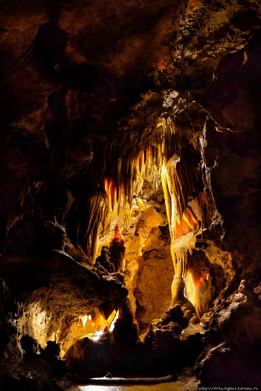 Цирк, да не только Мурез, Франция Цирк, да не только Мурез, Франция