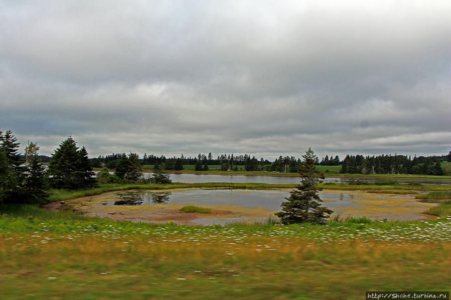Много в ней лесов, полей и ... полей среди лесов:) Провинция Остров Принца-Эдуарда, Канада