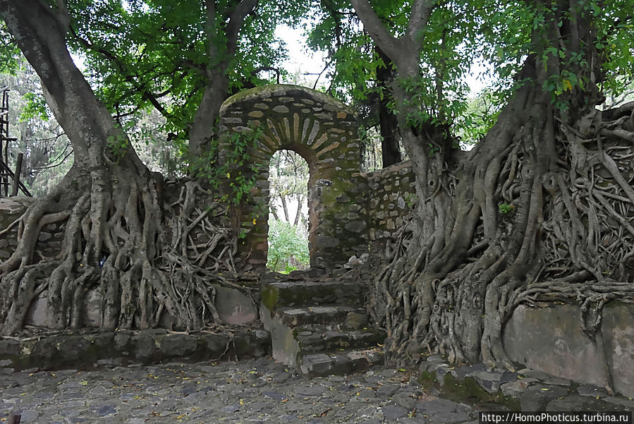 Стена вокруг бассейна Фасилидаса Стена вокруг бассейна Фасилидаса