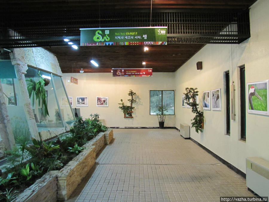 Зоопарк Сеула. Четвёртая часть. Сеул, Республика Корея