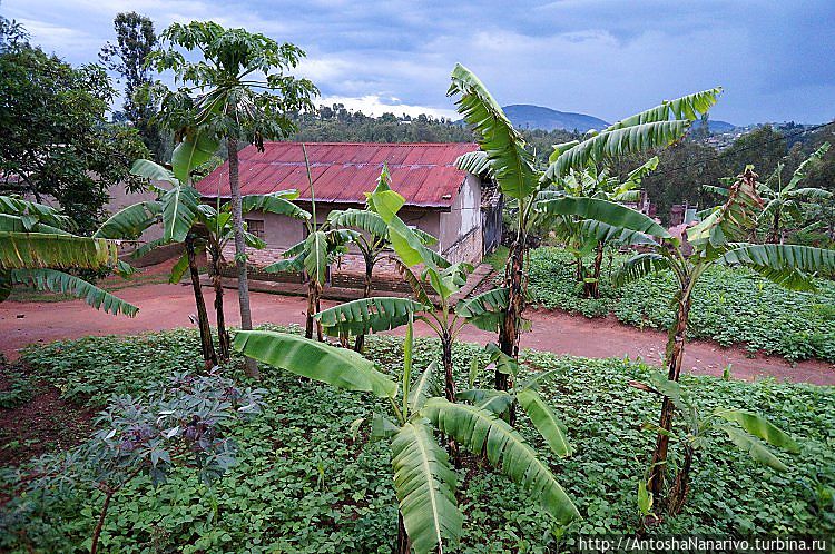 Королевская Ньянза Нйанза, Руанда
