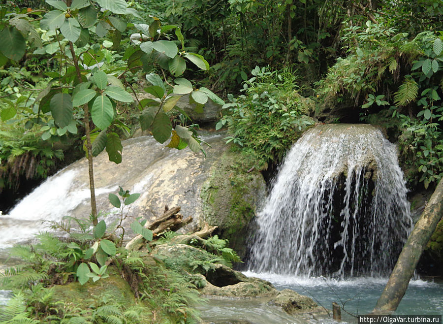 Такое впечатление, что вода льётся из всех лесных щелей Остров Самал, Филиппины