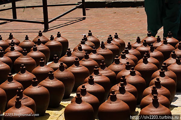 царство горшков царство горшков