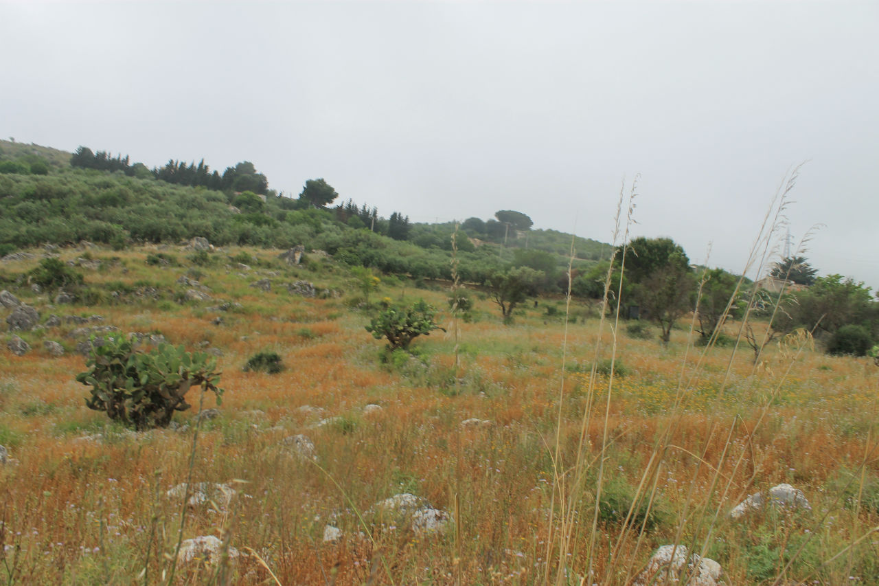 День 3. Монреале, Корлеоне. Заблудились. Сицилия, Италия День 3. Монреале, Корлеоне. Заблудились. Сицилия, Италия