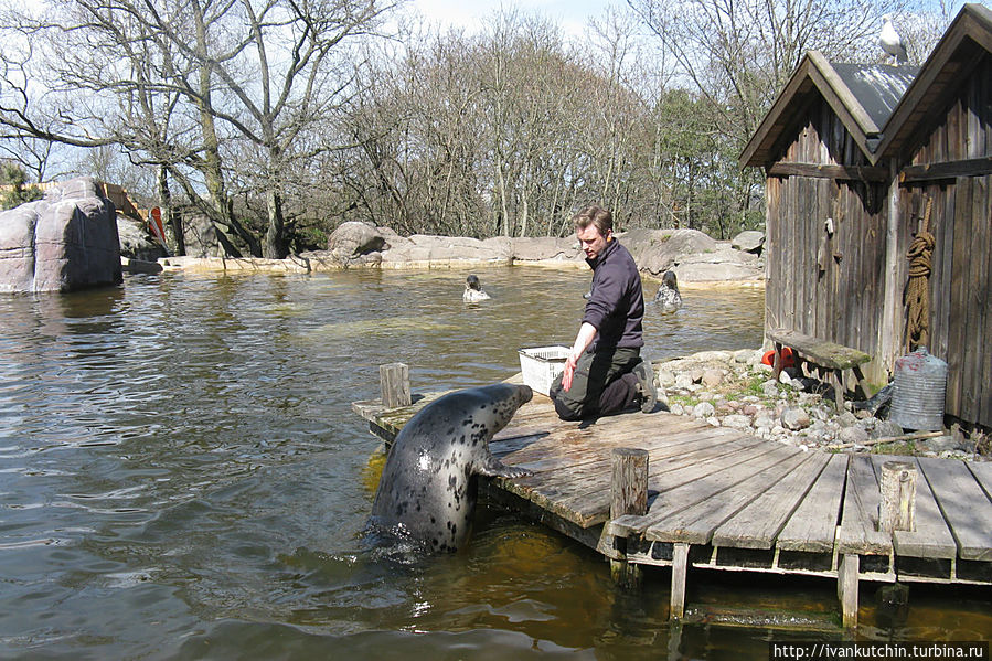 Кормление. Кормление.