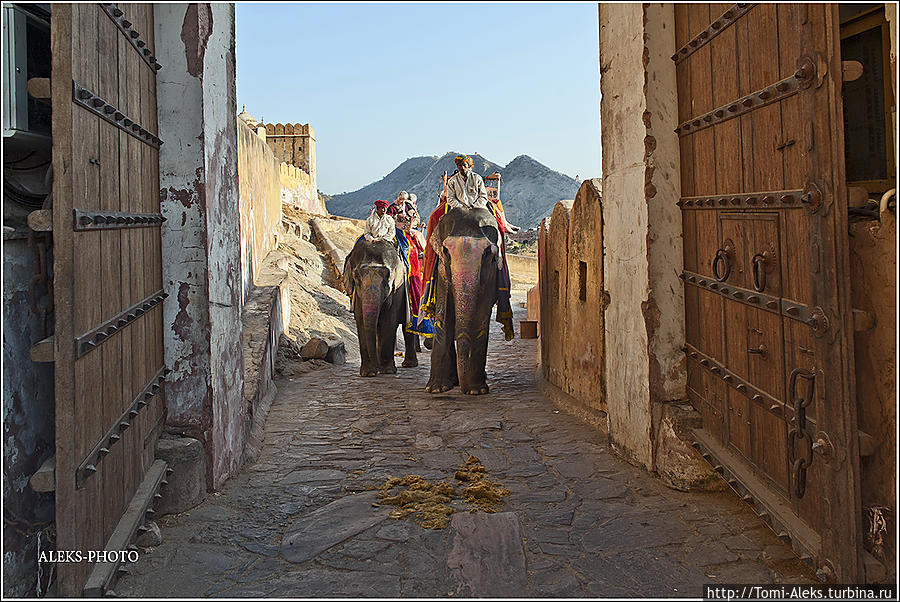 Как попасть в Рай на слонах (Индийские Приключения ч36) Джайпур, Индия