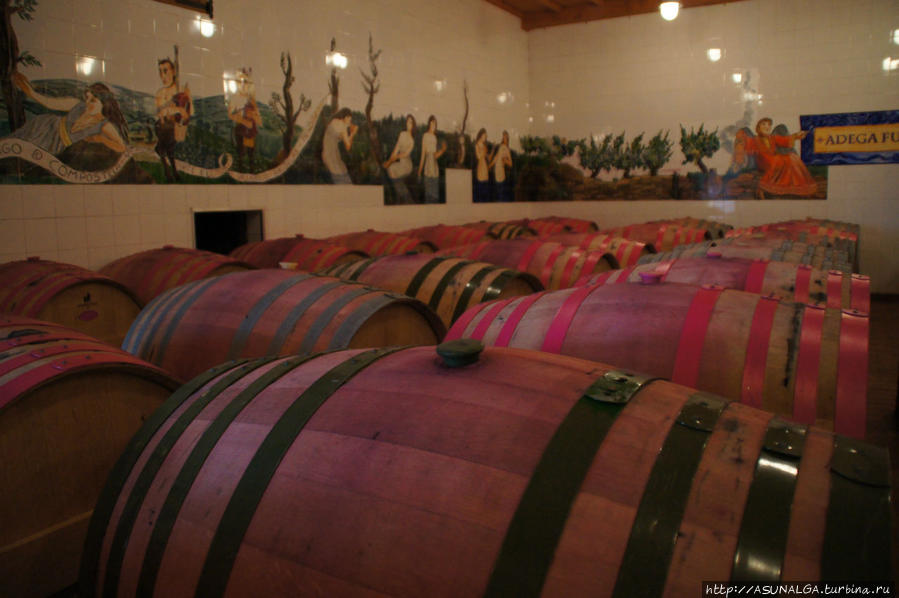 Выдержка вина в дубовых бочках Галисия, Испания