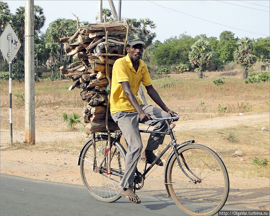 Много забот у здешних мужчин. Вот, к примеру, дров домой привезти, чтобы очаг разогреть Много забот у здешних мужчин. Вот, к примеру, дров домой привезти, чтобы очаг разогреть