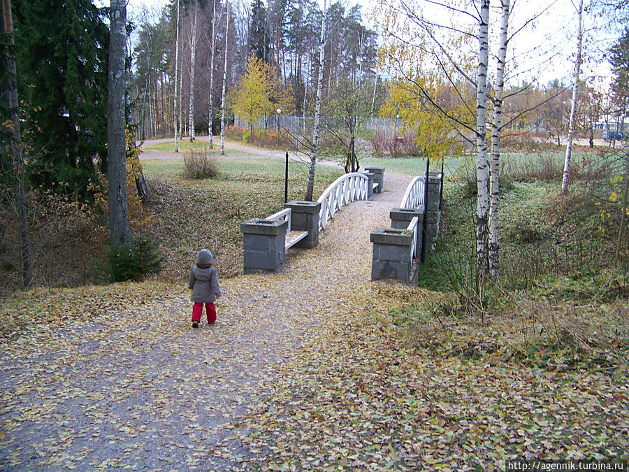 Дочка бежит на мостик через ручей Иматра, Финляндия