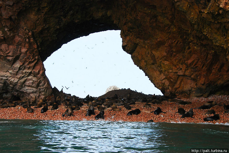 Радужные арки Бальестас Острова Бальестас Национальный Резерват, Перу