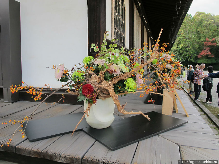 Инсталляция бонсай во дворе храма Киото Япония
