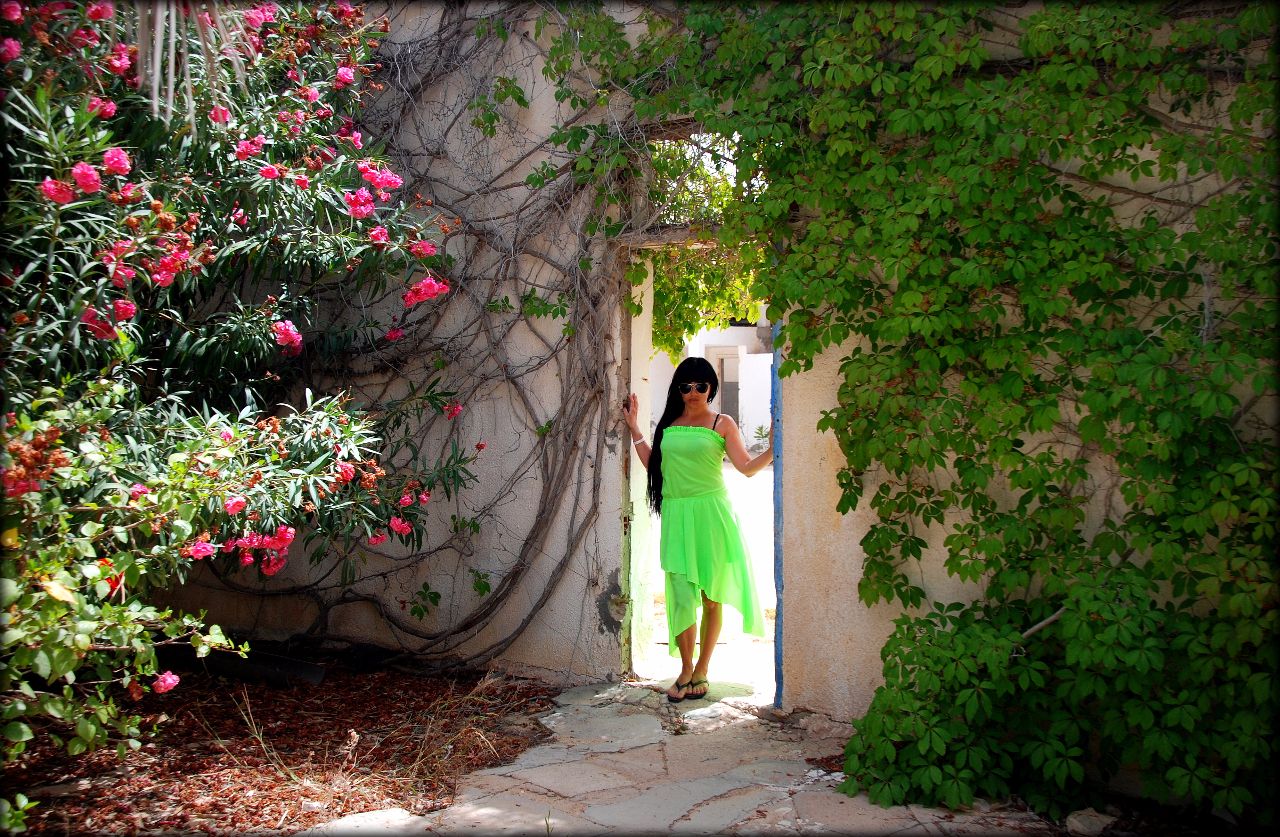 Воспоминания — Турбина 2016 Воспоминания — Турбина 2016