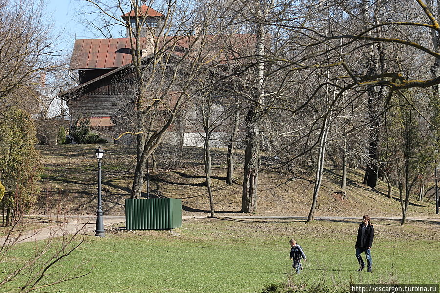 Весна идет, весне дорогу: что делать в Лошицком парке? Минск, Беларусь