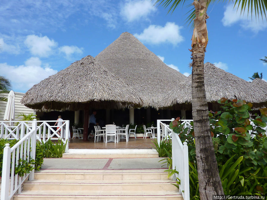 Еще один ресторан-бар у моря Еще один ресторан-бар у моря