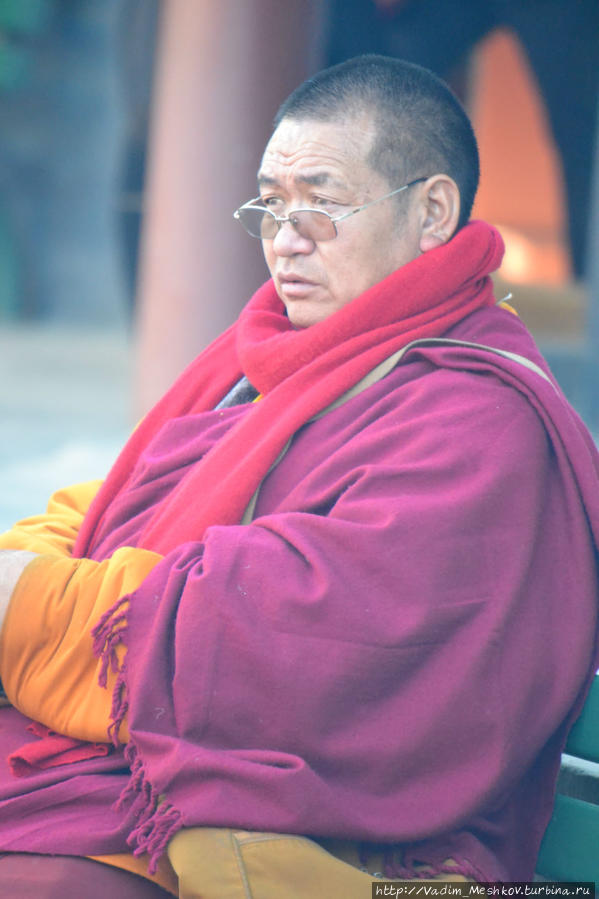 Лама в в Храме Прибежища Души в Ханчжоу. Ханчжоу, Китай