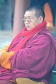 Лама в в Храме Прибежища Души в Ханчжоу.