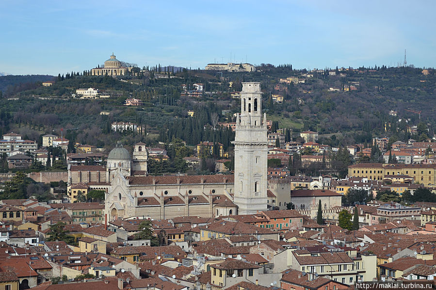 Кафедральный собор. Кафедральный собор.