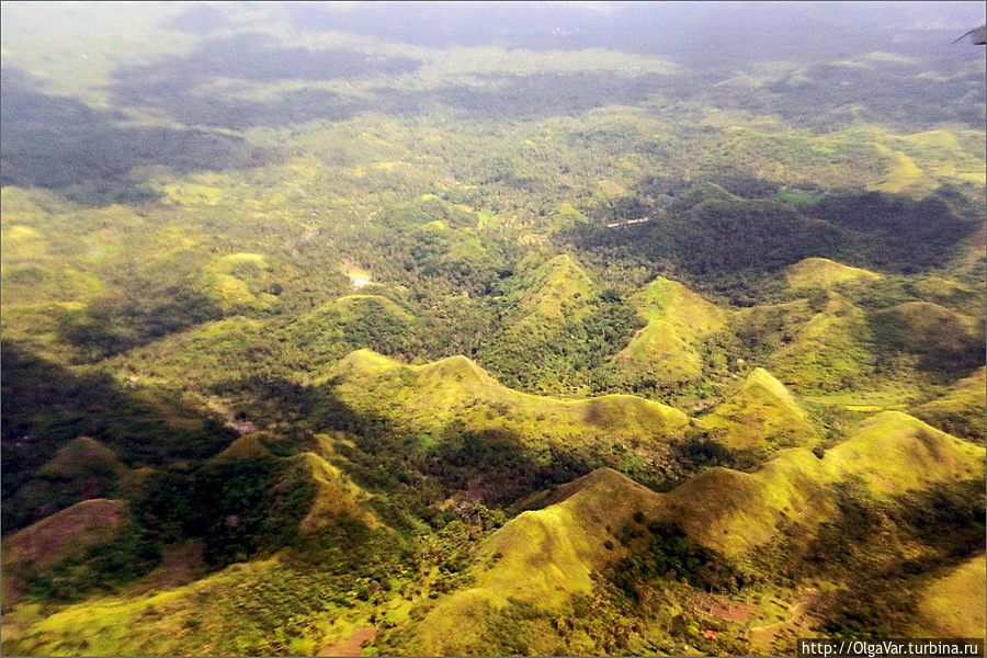 С высоты холмы могут выглядеть так Остров Бохол, Филиппины