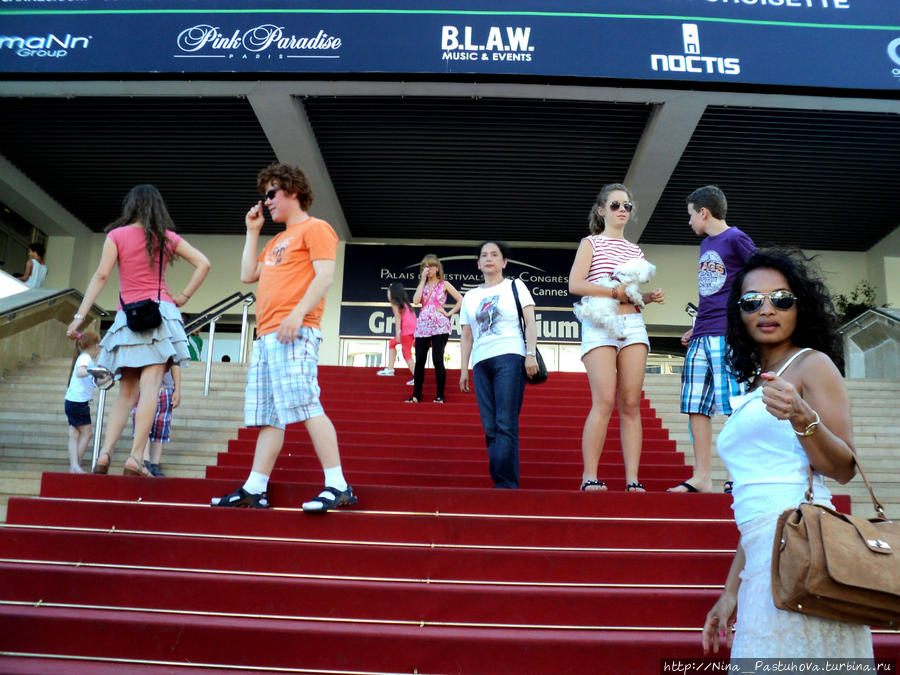 Моё знакомство с Лазурным берегом Прованс-Альпы-Лазурный берег, Франция Моё знакомство с Лазурным берегом Прованс-Альпы-Лазурный берег, Франция