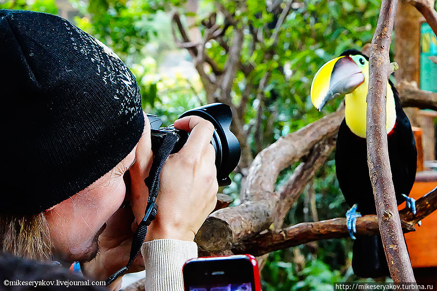 Вулкан Поас Поасито, Коста-Рика Вулкан Поас Поасито, Коста-Рика