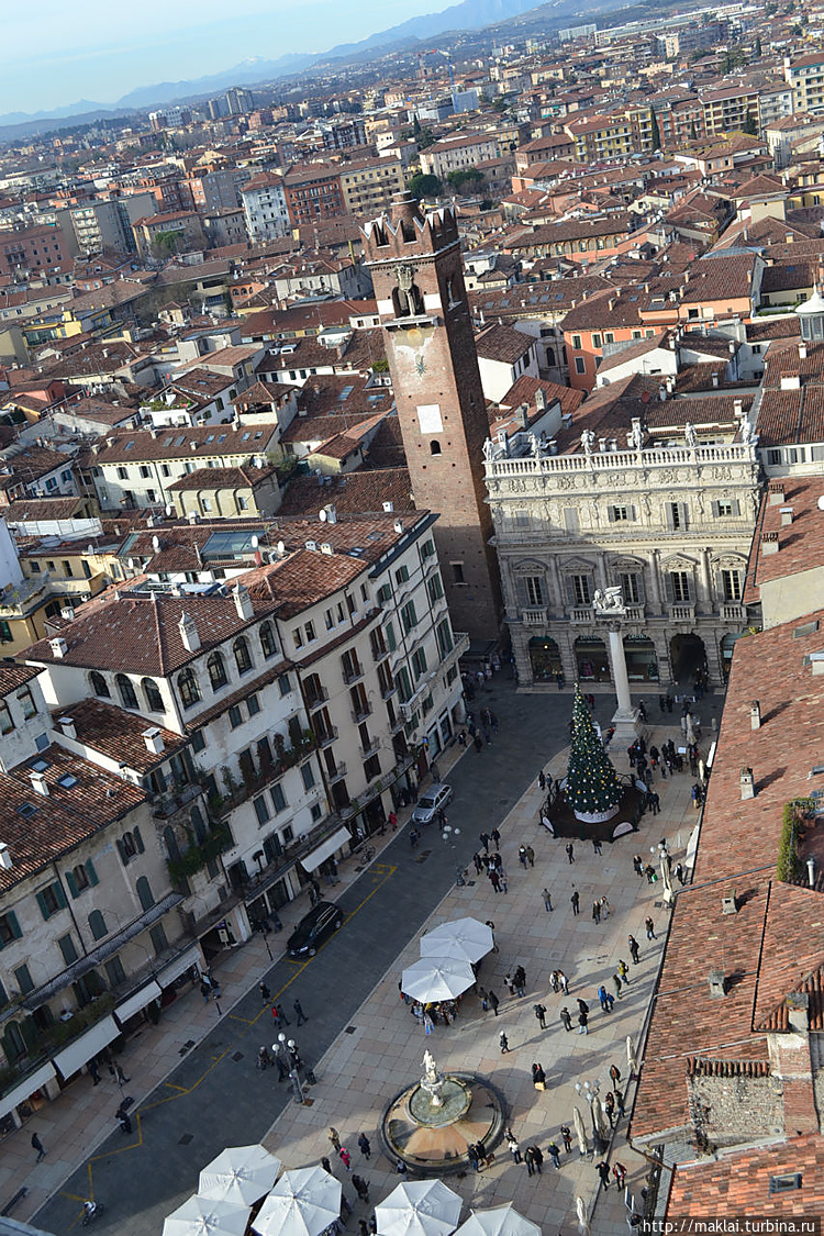 Площадь Трав. Площадь Трав.