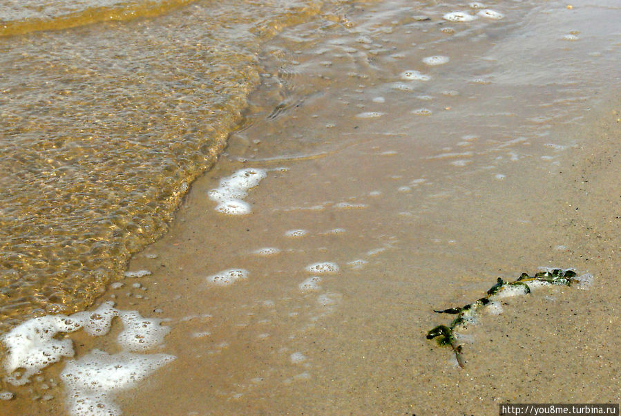 Поймайте мне кролика Нижегородская область, Россия Поймайте мне кролика Нижегородская область, Россия