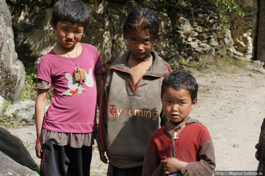 Встречи    на   непальской    тропе... Покхара, Непал